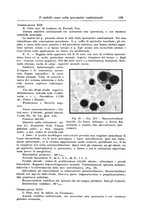 giornale/UM10004251/1940/A.41/00000153