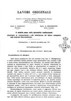 giornale/UM10004251/1940/A.41/00000175