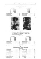 giornale/UM10004251/1940/A.41/00000343