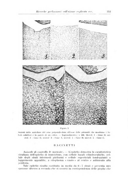 Rivista di clinica medica