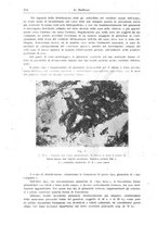 giornale/UM10004251/1943/unico/00000298