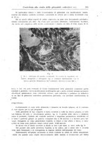 giornale/UM10004251/1943/unico/00000299