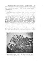 giornale/UM10004251/1945-1946/unico/00000253