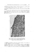 giornale/UM10004251/1945-1946/unico/00000259