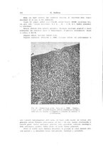 giornale/UM10004251/1945-1946/unico/00000276