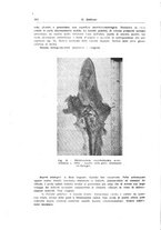 giornale/UM10004251/1945-1946/unico/00000288