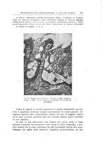 giornale/UM10004251/1945-1946/unico/00000317