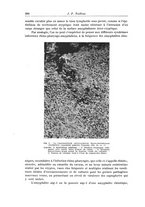 giornale/UM10004251/1945-1946/unico/00000638