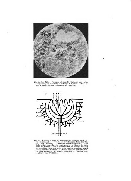 Rivista di clinica medica