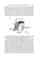 giornale/UM10004251/1945-1946/unico/00000699