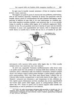 giornale/UM10004251/1945-1946/unico/00000701