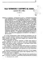 giornale/UM10006831/1916/unico/00000075