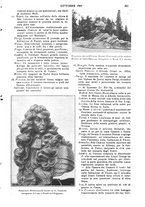giornale/UM10007435/1908-1909/unico/00000213
