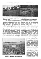 giornale/UM10007474/1933/unico/00000163