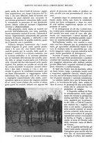 giornale/UM10007474/1934/unico/00000241