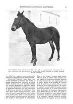 giornale/UM10007474/1935-1937/unico/00000241