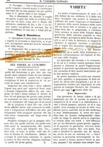 giornale/UM10009850/1881/unico/00000094