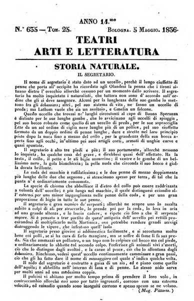 Cenni storici intorno alle lettere, invenzioni, arti, commercio e spettacoli teatrali