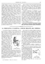 giornale/UM10010280/1924/unico/00000335