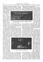giornale/UM10010280/1925/unico/00000130