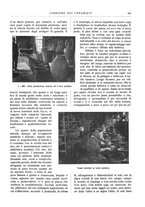 giornale/UM10010280/1928/unico/00000455