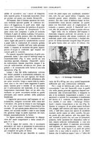 giornale/UM10010280/1931/unico/00000247