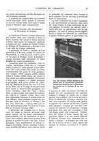 giornale/UM10010280/1933/unico/00000103