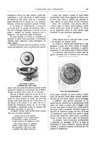 giornale/UM10010280/1933/unico/00000235