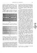 giornale/UM10010280/1934/unico/00000149