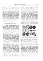 giornale/UM10010280/1936/unico/00000315