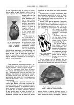 giornale/UM10010280/1938/unico/00000019