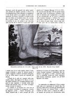 giornale/UM10010280/1938/unico/00000375