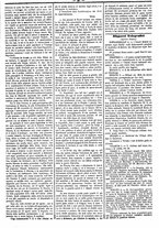giornale/UM10011476/1870/Ottobre/19