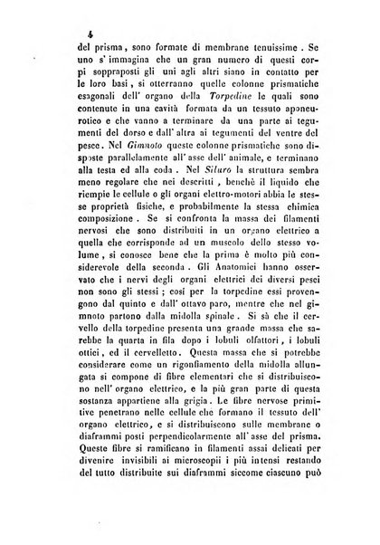 Giornale scientifico-letterario-agrario di Perugia