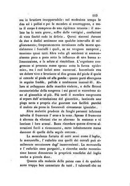 Giornale scientifico-letterario-agrario di Perugia