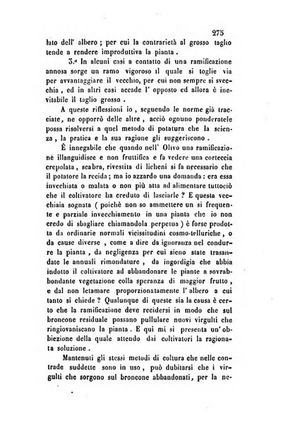 Giornale scientifico-letterario-agrario di Perugia