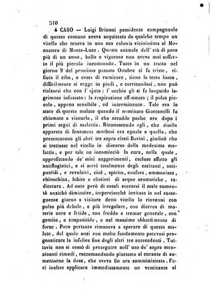 Giornale scientifico-letterario-agrario di Perugia