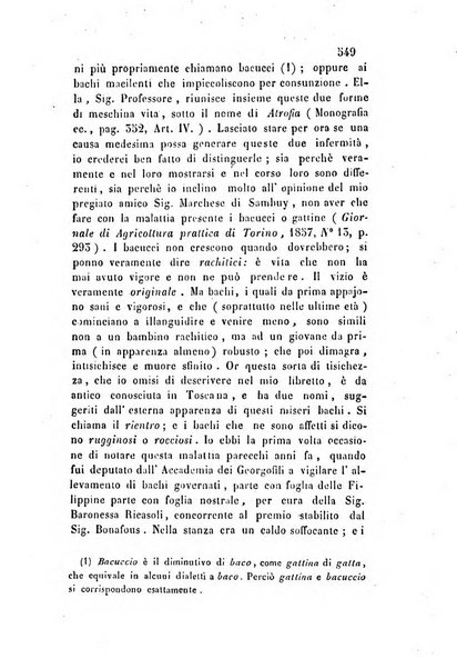 Giornale scientifico-letterario-agrario di Perugia