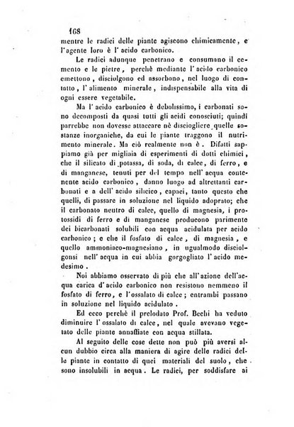 Giornale scientifico-letterario-agrario di Perugia e sua provincia