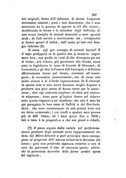 Giornale scientifico-letterario-agrario di Perugia e sua provincia