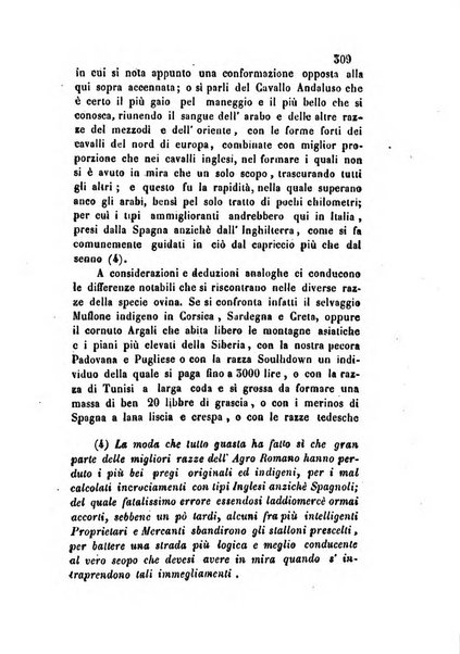 Giornale scientifico-letterario-agrario di Perugia e sua provincia