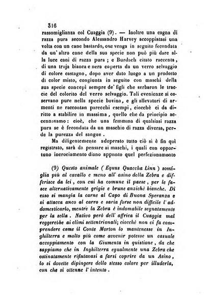 Giornale scientifico-letterario-agrario di Perugia e sua provincia