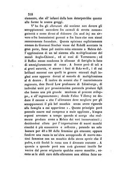 Giornale scientifico-letterario-agrario di Perugia e sua provincia