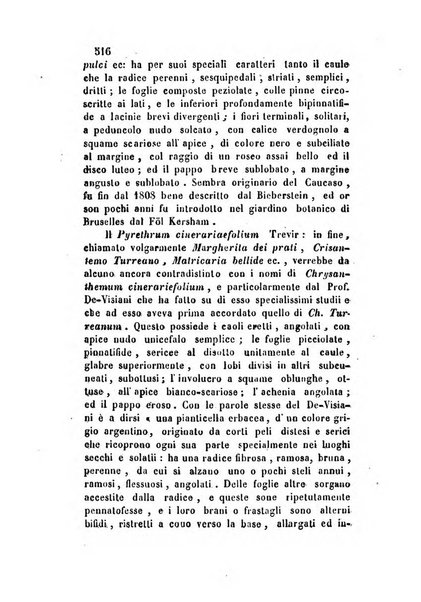 Giornale scientifico-letterario-agrario di Perugia e sua provincia