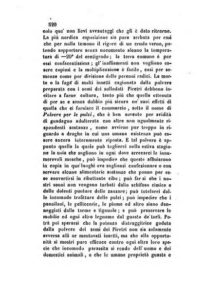 Giornale scientifico-letterario-agrario di Perugia e sua provincia