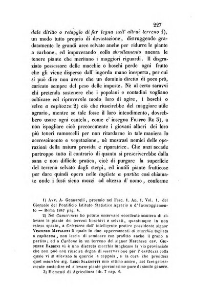 Giornale scientifico-letterario-agrario di Perugia e sua provincia