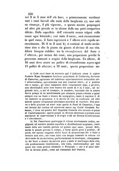 Giornale scientifico-letterario-agrario di Perugia e sua provincia