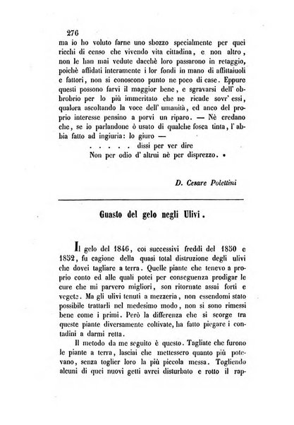 Giornale scientifico-letterario-agrario di Perugia e sua provincia