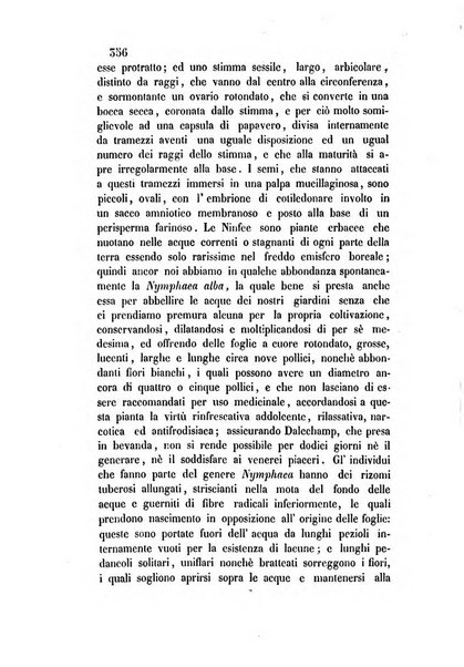 Giornale scientifico-letterario-agrario di Perugia e sua provincia