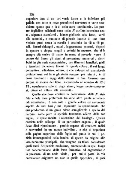 Giornale scientifico-letterario-agrario di Perugia e sua provincia